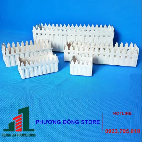  Chậu hàng rào
